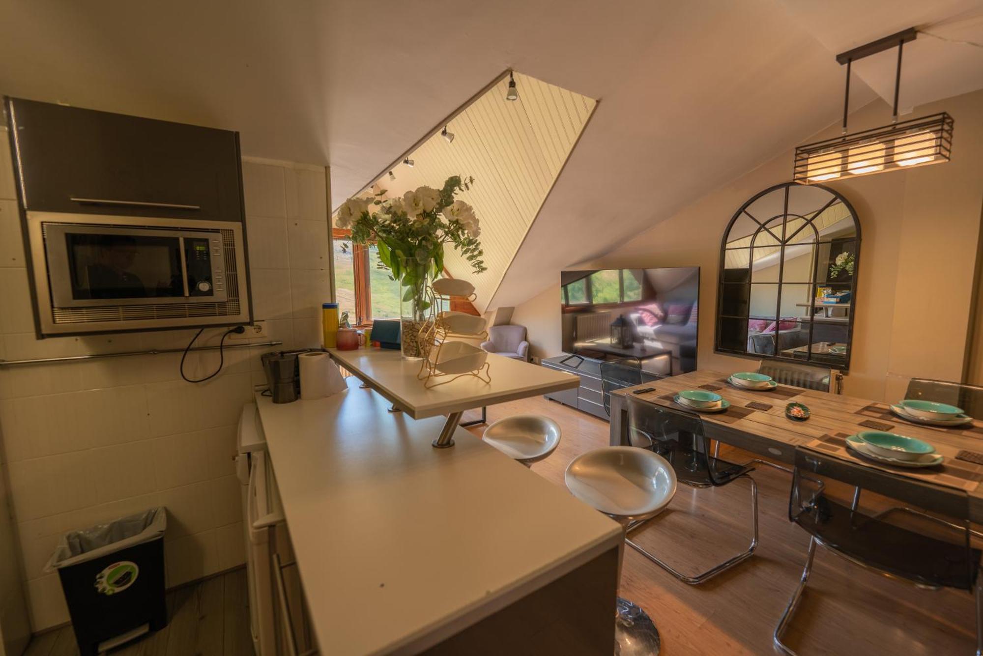 Apartamentos Formigal * Formigal